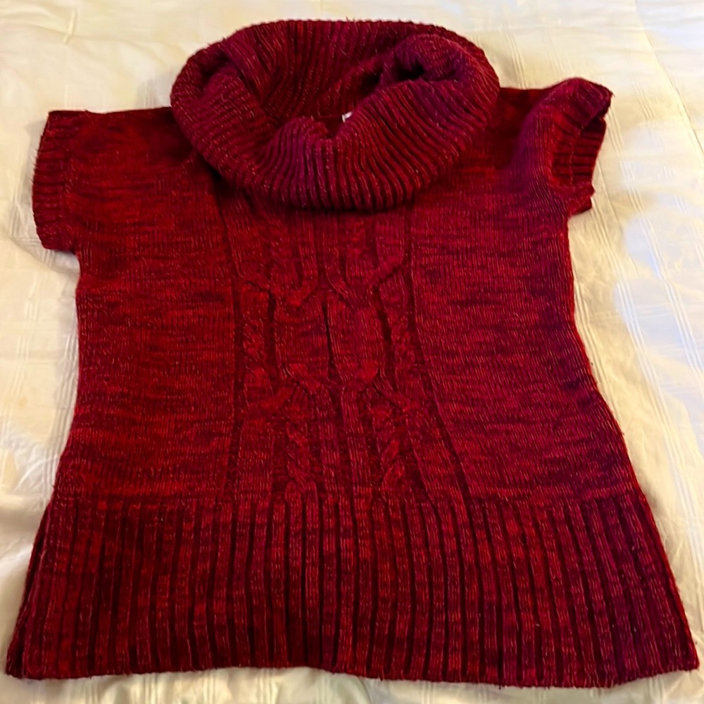 No boundaries short sleeve cranberry colored sweater. Beautiful dramatic cowl.